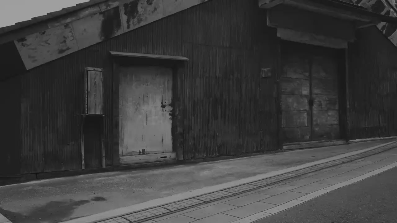 動画を読み込む: 