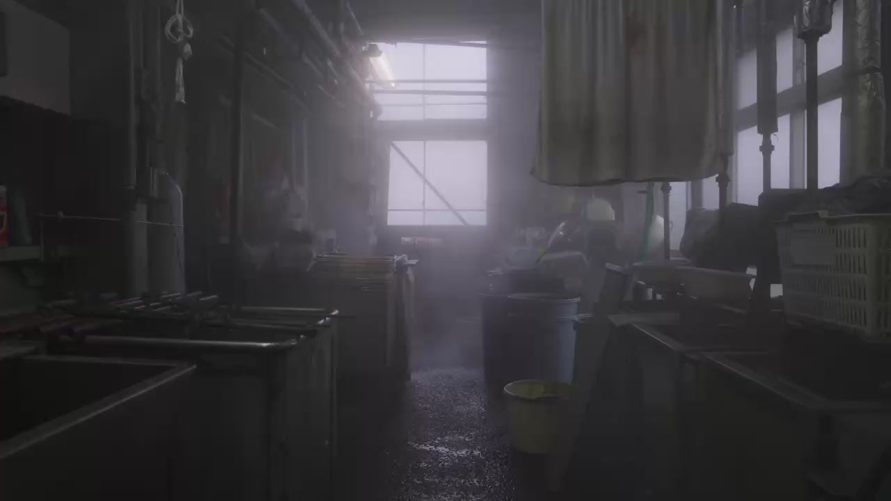 動画を読み込む: 